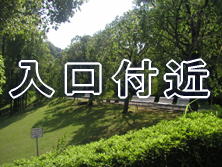 �����t��