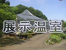 �W������