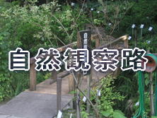 ���R�ώ@�H