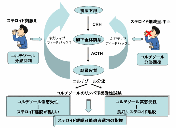 力 価 ステロイド 経口ステロイド薬の等価換算表